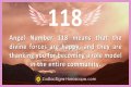 
ANGEL NUMBER 118
