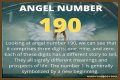 
ANGEL NUMBER 190
