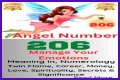 
ANGEL NUMBER 206
