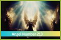 
ANGEL NUMBER 213
