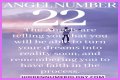 
ANGEL NUMBER 22
