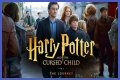 Harry Potter and The Cursed Child: The Sequel